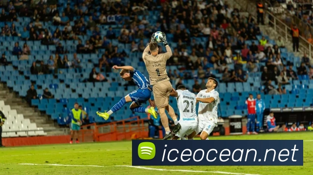 开云账号中心登录入口平台生态图